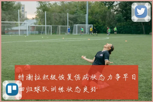 特谢拉积极恢复伤病状态力争早日回归球队训练状态良好